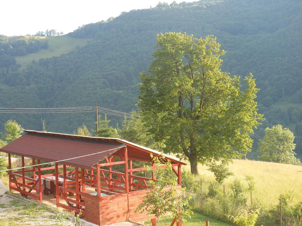 Kings Valley - Sunny Botesti Cîmpeni Exterior foto