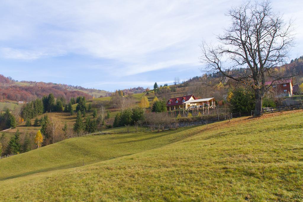 Kings Valley - Sunny Botesti Cîmpeni Exterior foto